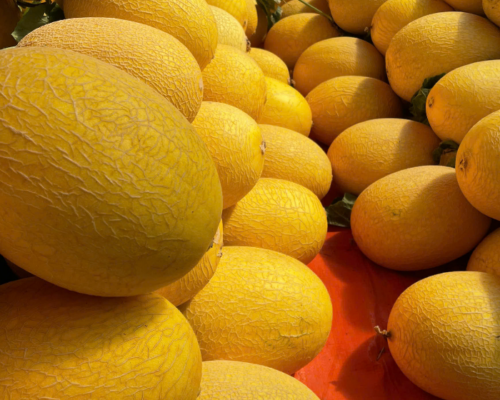 Thiet ke chua co ten 1 2