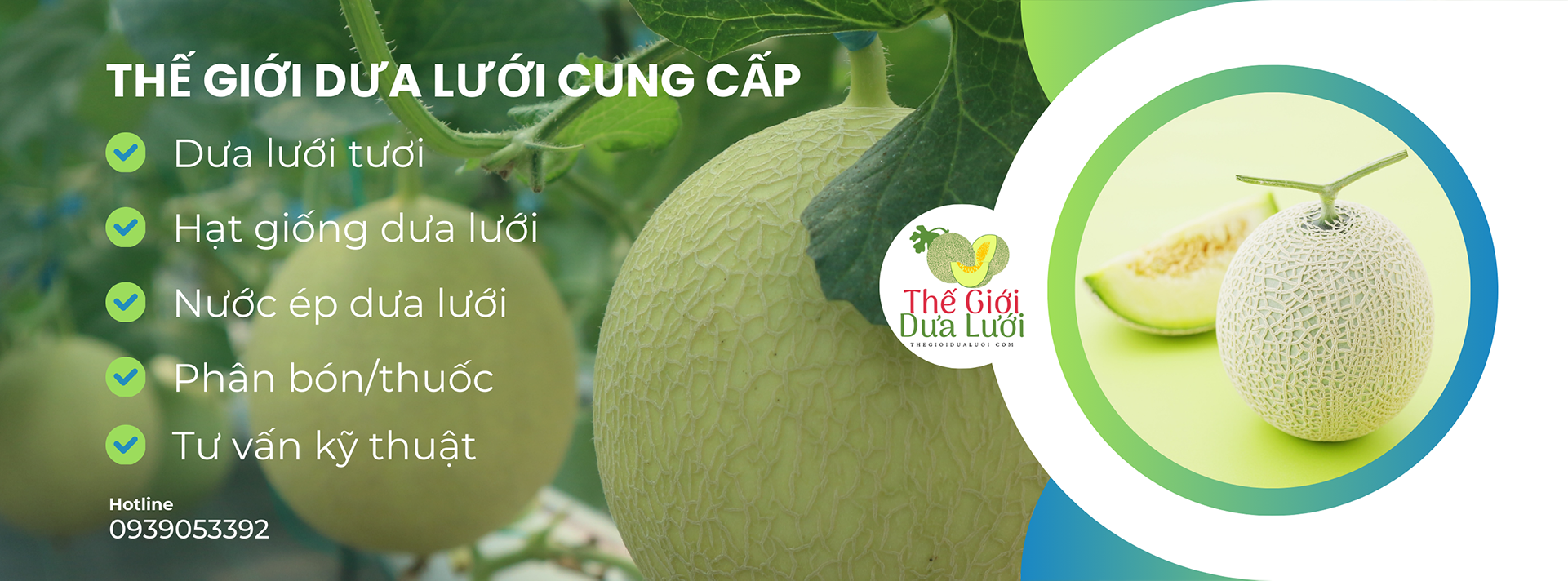 Các sản phẩm Thế Giới Dưa Lưới cung cấp