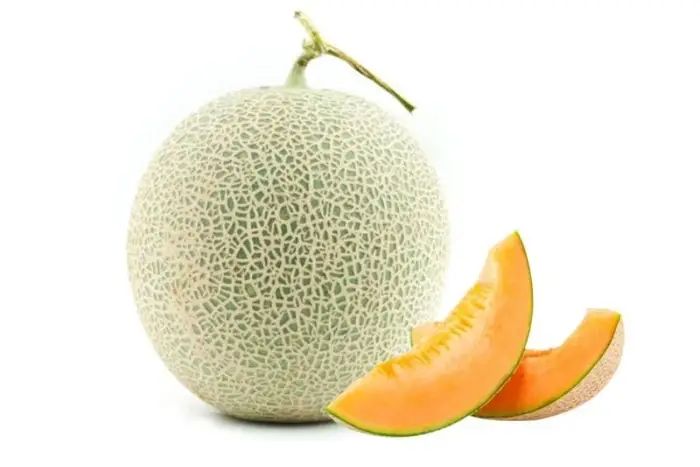 Kết luận Kết luận