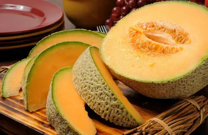 Tại sao dưa lưới lại có vị đắng? Tại sao dưa lưới lại có vị đắng?