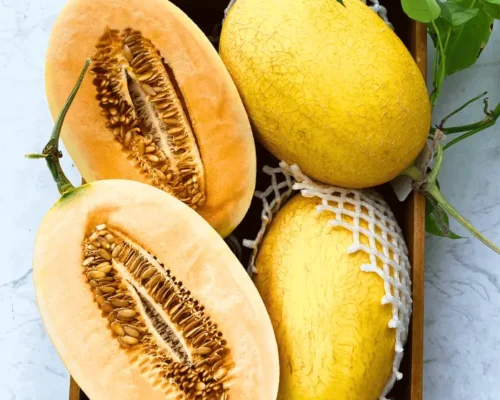 dua luoi huynh long chat luong cao 683aa53a1f008