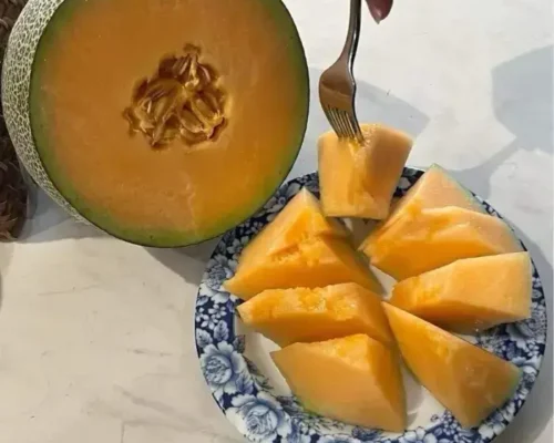 dua luoi mat egarden trai nghiem ngot ngao chuan chat luong 6833daa41f612