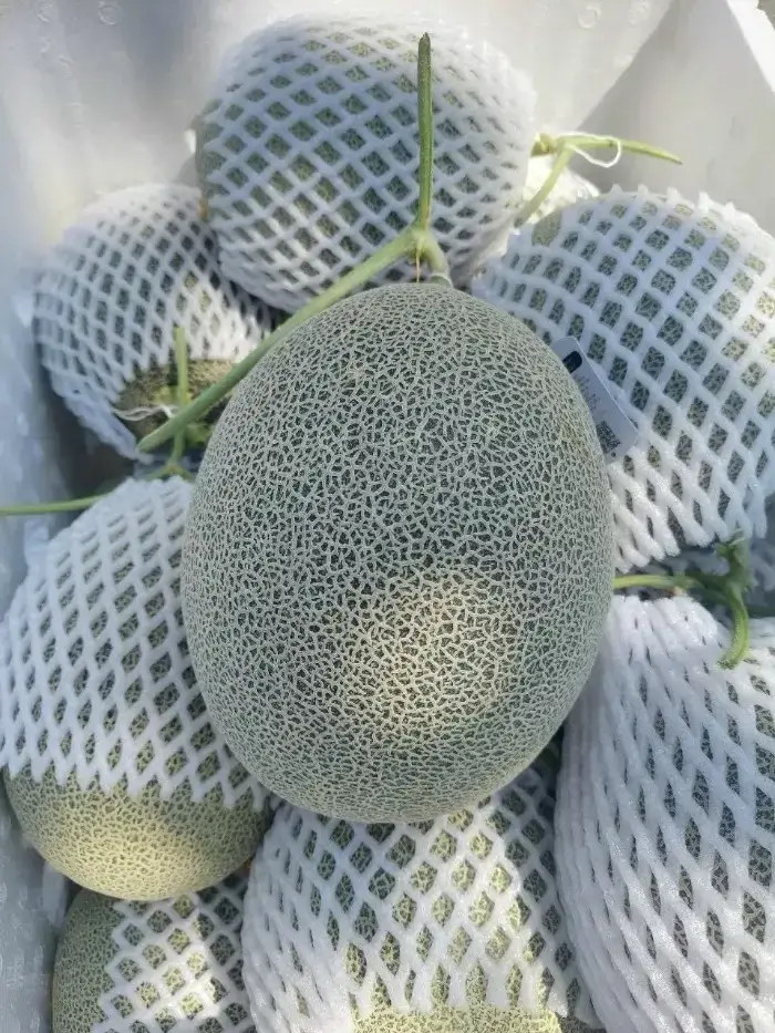 Giới thiệu về sản phẩm Dưa lưới Egarden