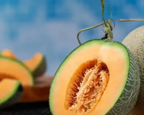 dua luoi mat egarden trai nghiem ngot ngao chuan chat luong 6833daa4283a2