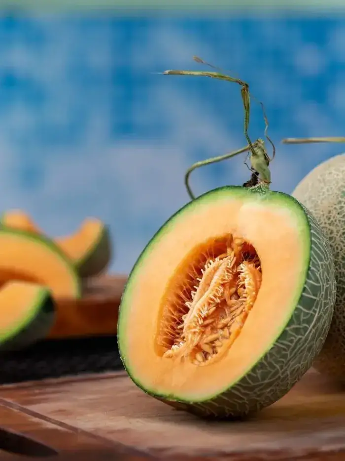 Đặc điểm nổi bật Đặc điểm nổi bật của dưa lưới Egarden