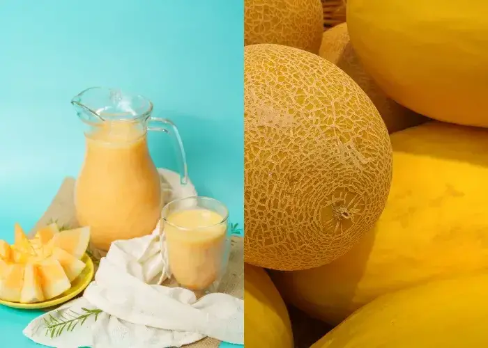 Giá trị dinh dưỡng và lợi ích cho sức khỏe Giá trị dinh dưỡng và lợi ích cho sức khỏe