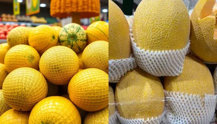 So sánh dưa lưới vàng ở chợ và siêu thị Dưa lưới vàng ở siêu thị, chợ