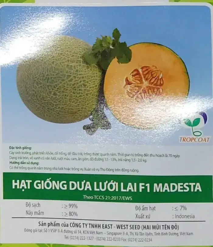 Hạt giống dưa lưới Hạt giống dưa lưới Madesta