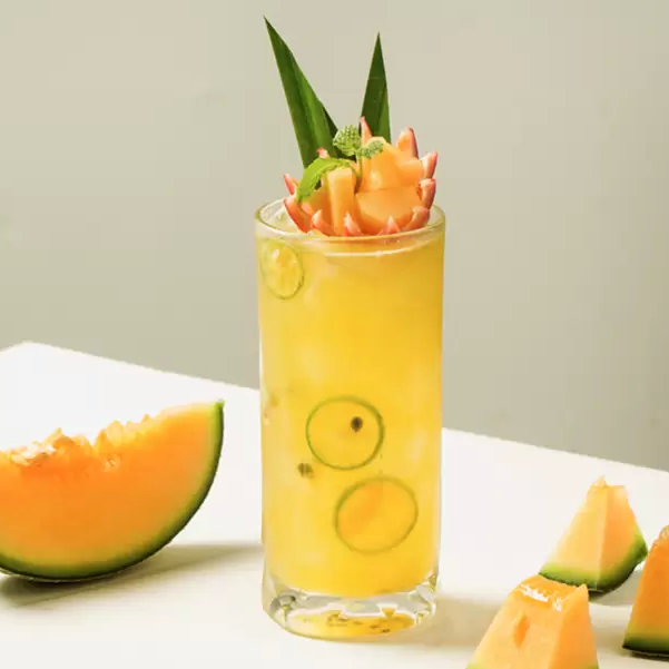 Uống trà dưa lưới có lợi gì cho sức khỏe Cách pha trà dưa lưới