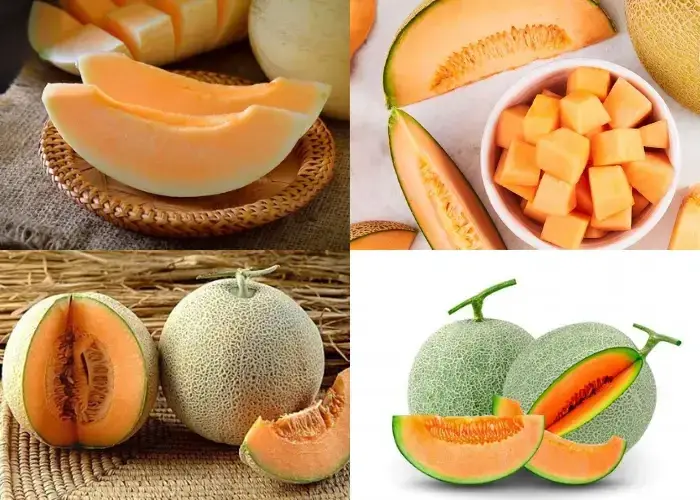12 cách biến tấu dưa lưới thành món ăn 12 cách biến tấu dưa lưới thành món ăn hấp dẫn