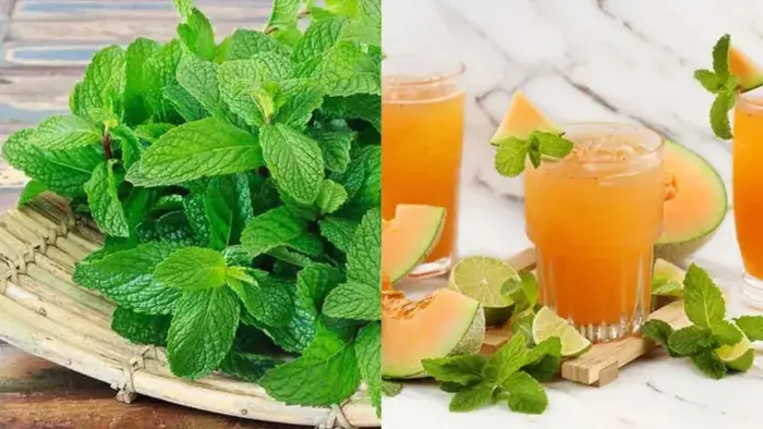 nước ép dưa lưới mix bạc hà Nước ép dưa lưới mix bạc hà