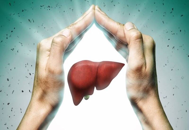 Dưa lưới hỗ trợ thanh nhiệt và giải độc hiệu quả Dưa lưới giúp thanh nhiệt và giải độc hiệu quả