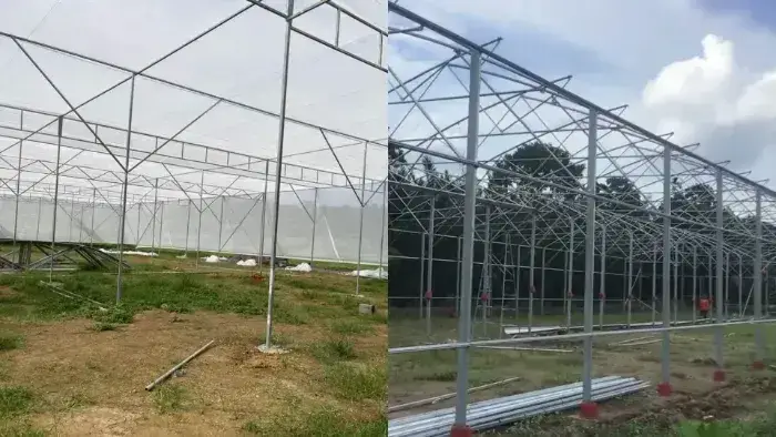 Các yếu tố quan trọng khi thi công nhà màng dưa lưới Các yếu tố cần đảm bảo khi thi công nhà màng dưa lưới
