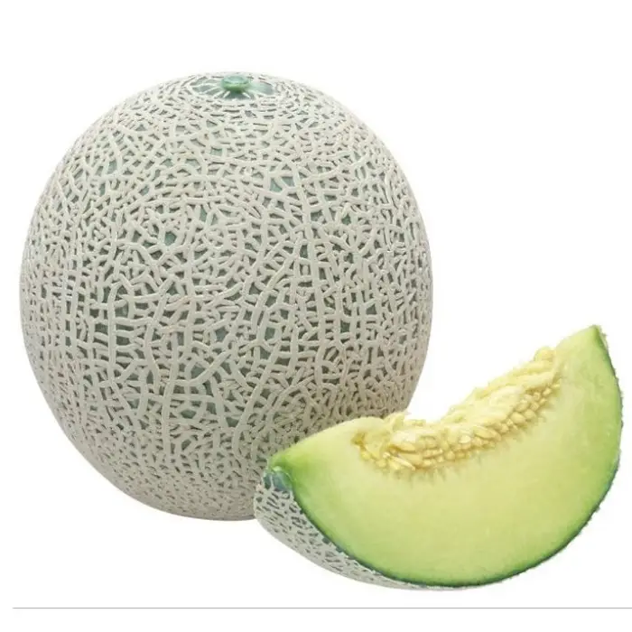 Vỏ dưa lưới mỏng Vỏ dưa lưới mỏng