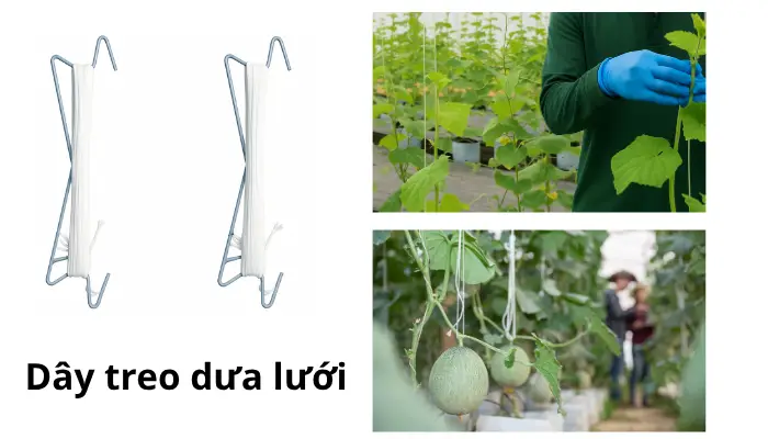 Các lĩnh vực ứng dụng thường gặp Các lĩnh vực ứng dụng thường gặp