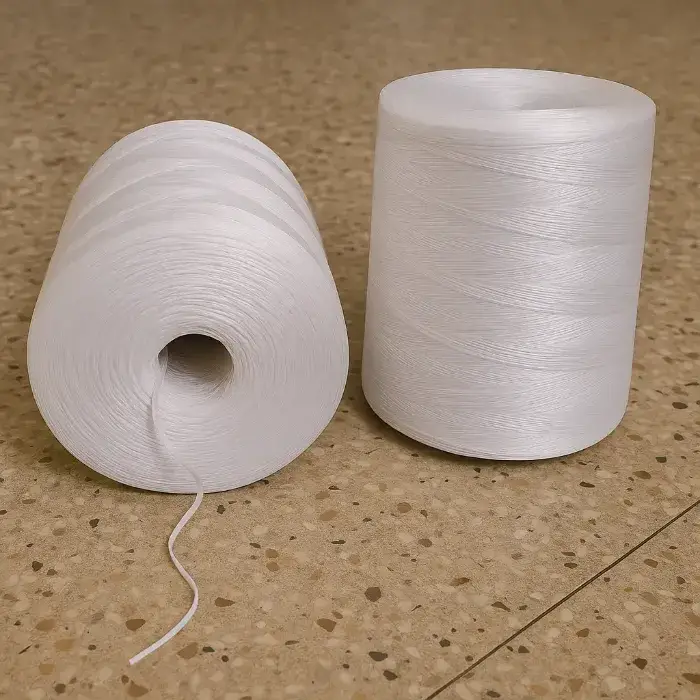 Những đặc điểm nổi bật của dây se Những đặc điểm nổi bật của dây se