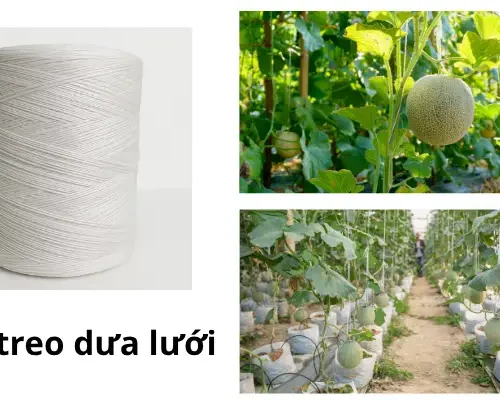 day treo dua luoi soi se nong nghiep 684161eea222b