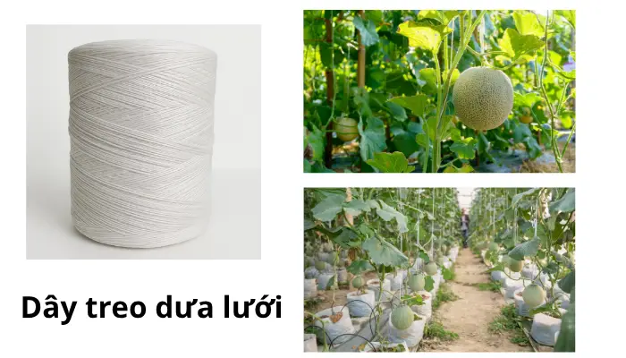 Các lĩnh vực ứng dụng thường gặp Các lĩnh vực ứng dụng thường gặp