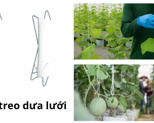 day treo dua luoi soi se nong nghiep 684161eebf29a