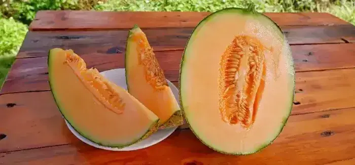 Những lưu ý khi sử dụng dưa lưới trong chế độ ăn hàng ngày Cách sử dụng dưa lưới đúng cách trong chế độ ăn uống