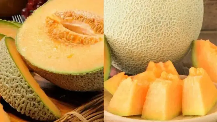 Dưa lưới có tác dụng gì Tác dụng của dưa lưới