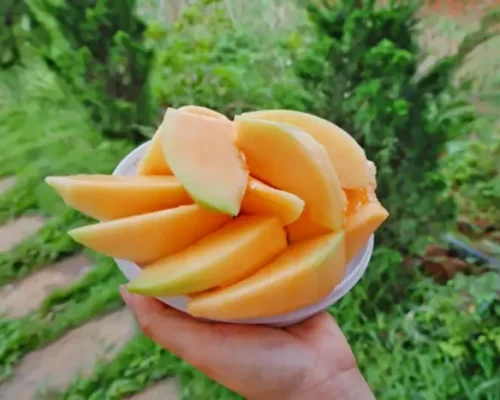 dua luoi nagami 6846ca6971ce5