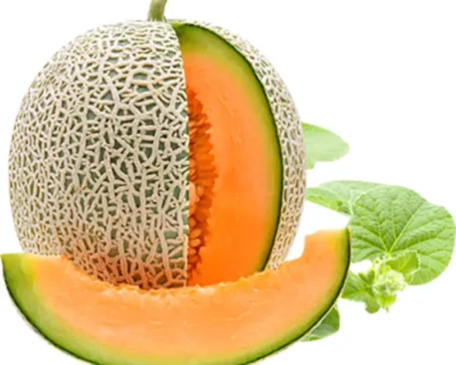 dua luoi tl3 68562bf8b01b9