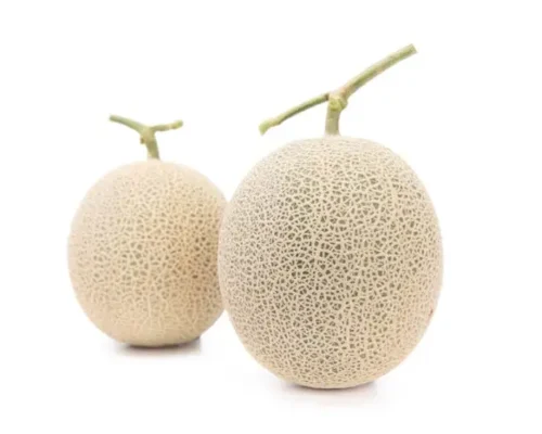 hat giong dua luoi nagoya 6846cce76d0e6