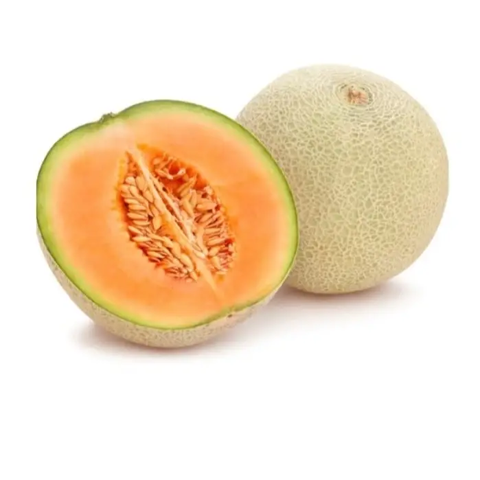 Hướng dẫn gieo trồng Hướng dẫn gieo trồng dưa lưới Taki