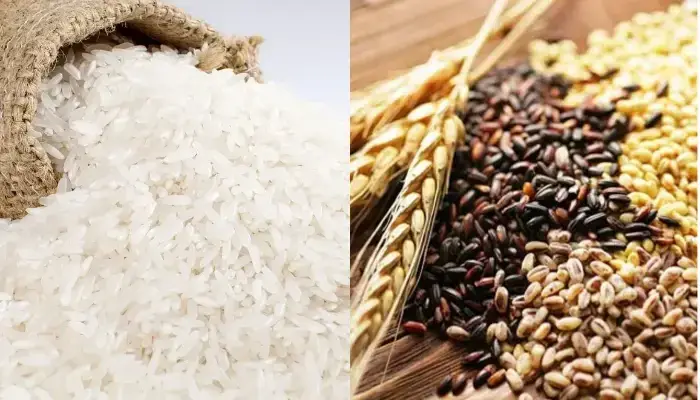 Dùng gạo hoặc ngũ cốc ủ chín dưa lưới Dùng gạo hoặc ngũ cốc ủ chín dưa lưới