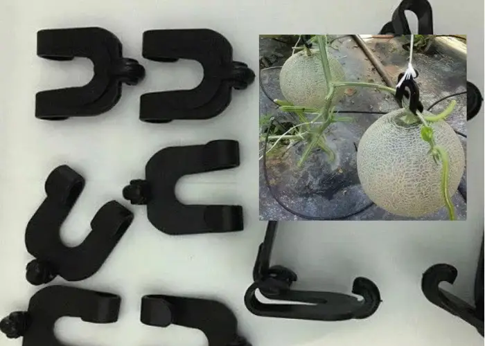 Móc treo dưa lưới Móc treo dưa lưới