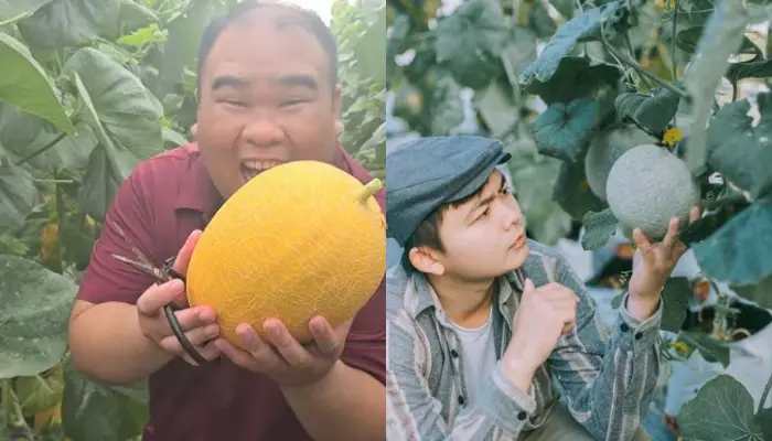Trải nghiệm hấp dẫn tại vườn Givi Farm Trải nghiệm hấp dẫn tại vườn dưa lưới Givi Farm