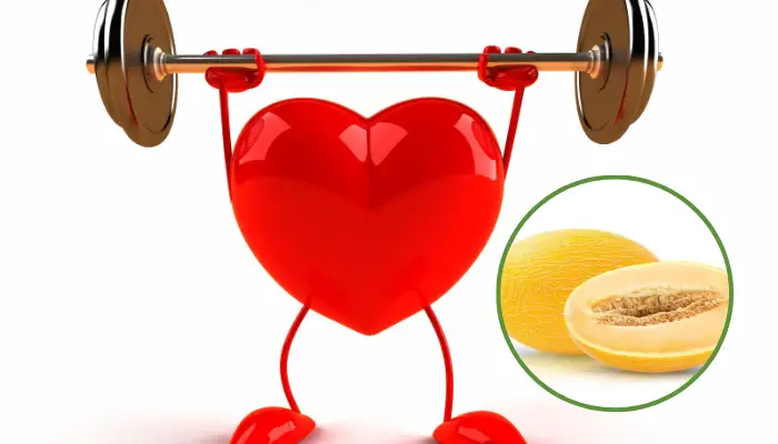 Tác dụng của dưa lưới với sức khỏe Tác dụng của dưa lưới với sức khỏe