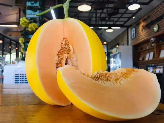 Dưa lưới Hoàng Kim Dưa lưới Hoàng Kim