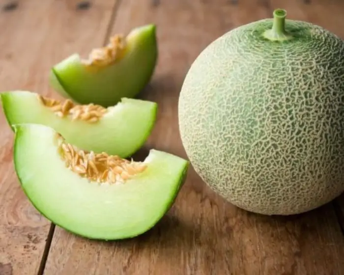 Dưa lưới Taki Dưa lưới Taki
