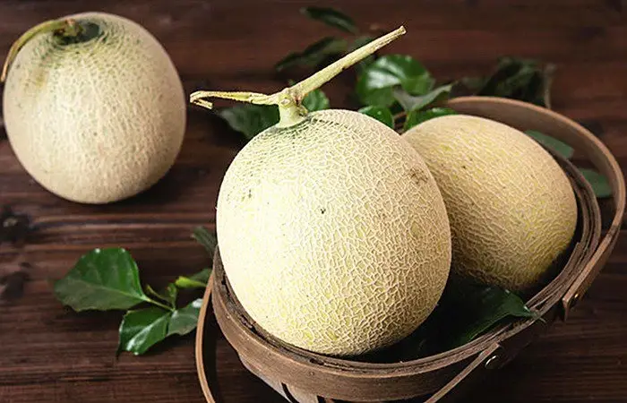 Những điều cần lưu ý khi mua và bảo quản dưa lưới Những điều cần lưu ý khi mua và bảo quản dưa lưới