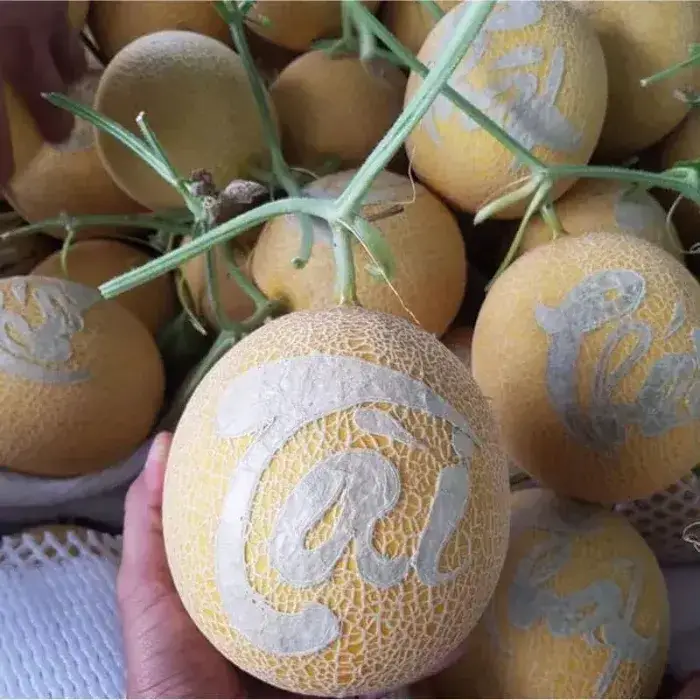 Yếu tố ảnh hưởng đến giá dưa lưới khắc chữ Yếu tố ảnh hưởng đến giá dưa lưới khắc chữ