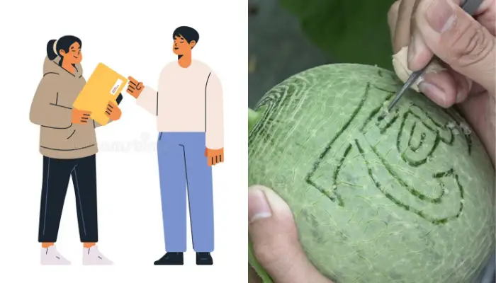 Cách đặt dưa lưới khắc chữ Cách đặt dưa lưới khắc chữ