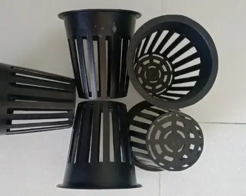 ro thuy canh dua luoi 6887185b35d70