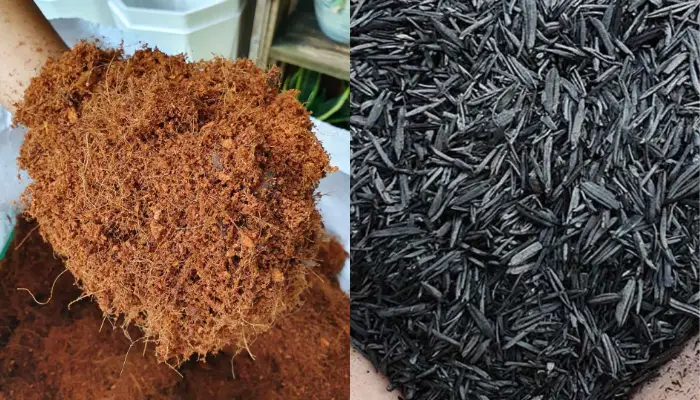 Mụn xơ dừa và trấu hun trộn giá thể Vật liệu cần có cho việc phối trộn giá thể
