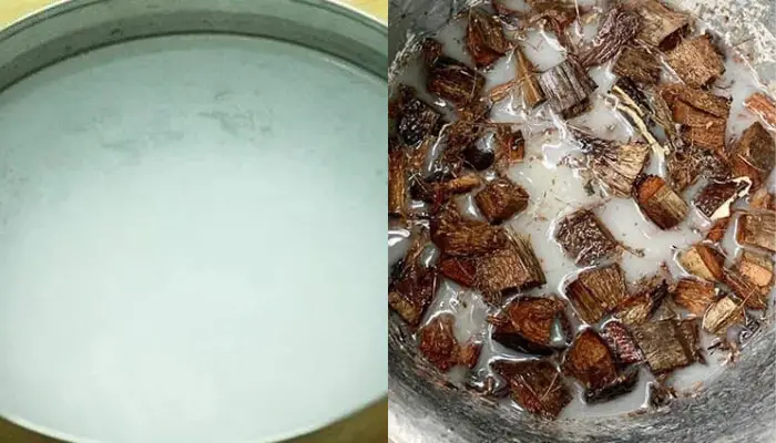 Ngâm dung dịch vôi để khử Lignin Ngâm dung dịch vôi để khử Lignin