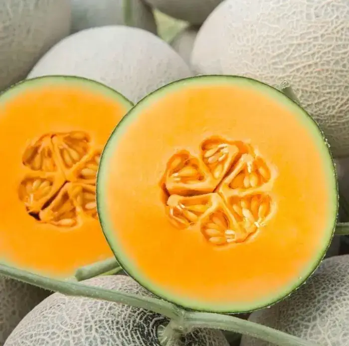 Dưa lưới Nhật Taki Dưa lưới Nhật Taki