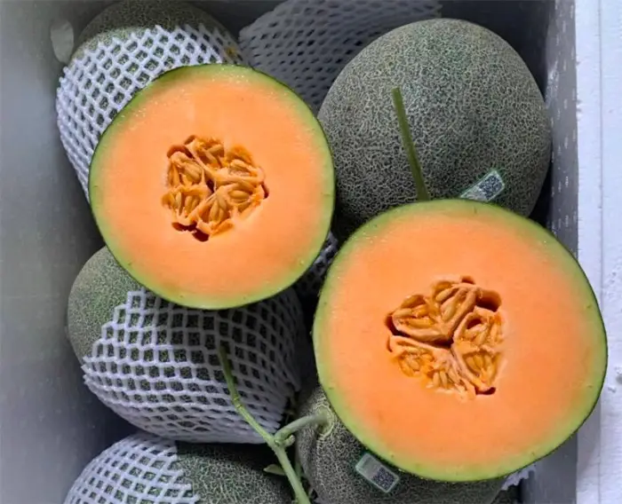 Thành phần dinh dưỡng của dưa lưới Nhật Taki Thành phần dinh dưỡng của dưa lưới Nhật Taki