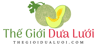 Thế Giới Dưa Lưới