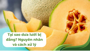 the gioi dua luoi thumb 1 9