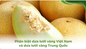 the-gioi-dua-luoi-thumb-2