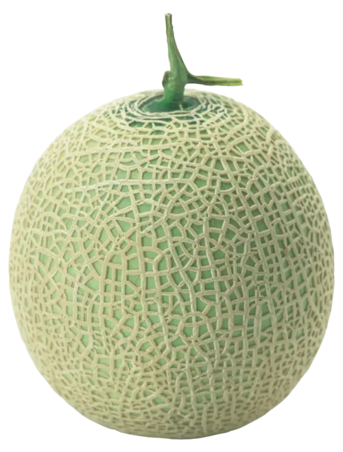 dua luoi ruot xanh 683f5e610b539
