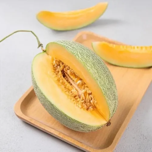 hat giong dua luoi dai loan 684f8b208bf36