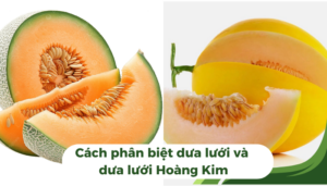 the gioi dua luoi thumb 1 1 1