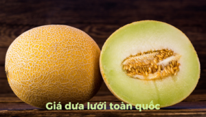 the gioi dua luoi thumb 1 1 2
